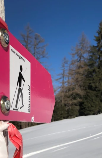 Unterwegs auf dem Schneeschuhtrail Blaswald