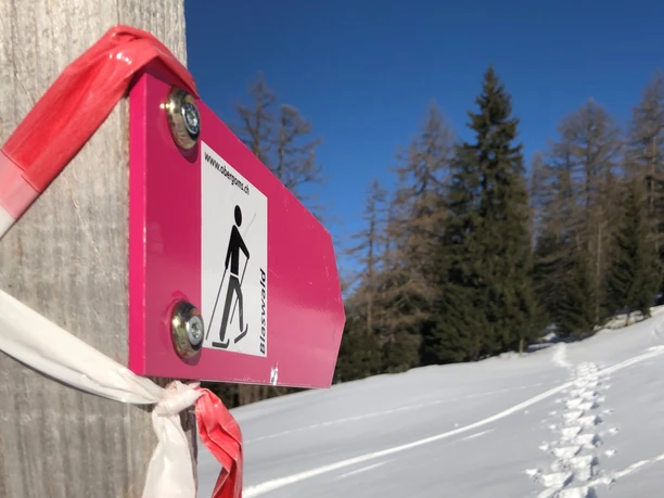 Unterwegs auf dem Schneeschuhtrail Blaswald