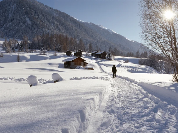 Weiler Zeit bei Selkingen