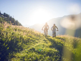 Trail zwischen Reckingen und Bellwald