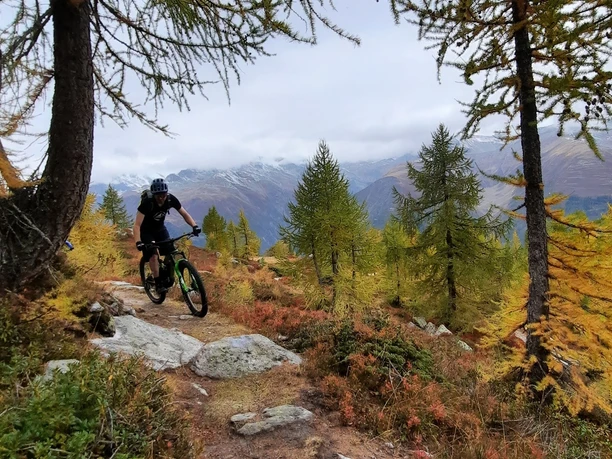 Indian Summer mit gelben Lärchen auf dem Moosmattentrail