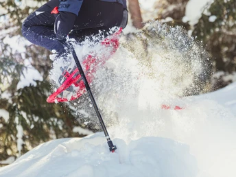 Spass im Pulverschnee