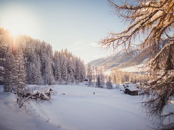 Verschneite Winterlandschaft im Bergdorf Reckingen