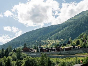 Ausblick auf das Dorf Blitzingen