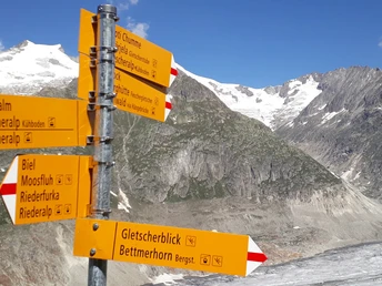 Rundwanderung vom Bettmerhorn via Märjelensee zur Bettmeralp