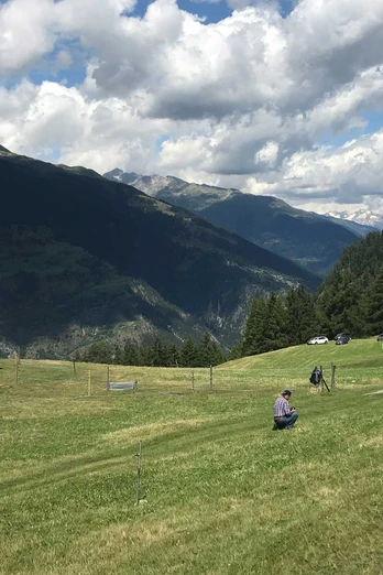 Rundwanderung von Mörel-Filet zur Tunetschalp und zurück