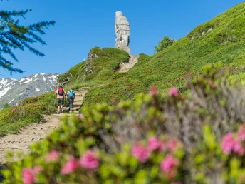 Steinadler Simplonpass