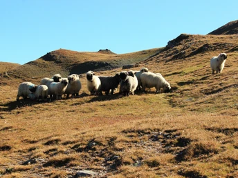 Unterhalb des Bistinenpasses im Nanztal