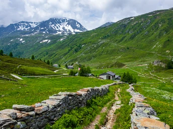 Simplon Rundweg Bergalpe