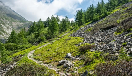 kurz vor dem Monscerapass