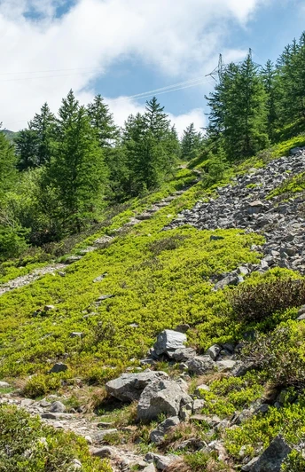 kurz vor dem Monscerapass