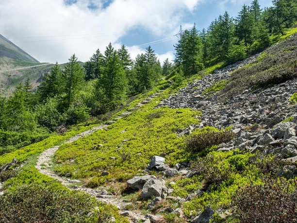 kurz vor dem Monscerapass
