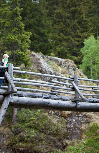 Holzbrücke die einen kleinen Bach überquert