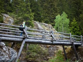 Holzbrücke die einen kleinen Bach überquert