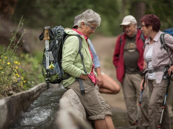 Wanderer auf der Lötschberger Südrampe