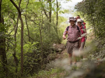 Wanderer auf der Lötschberger Südrampe