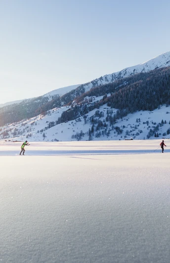 Langlaufen im warmen Abendlicht
