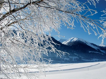 Signalisierte Herzloipe ist ohne grosses Gefälle