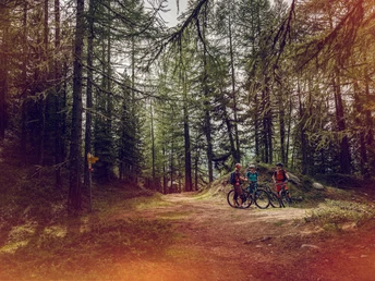 Mountainbiker im Wald von Sädol Richtung Col du Gibidum