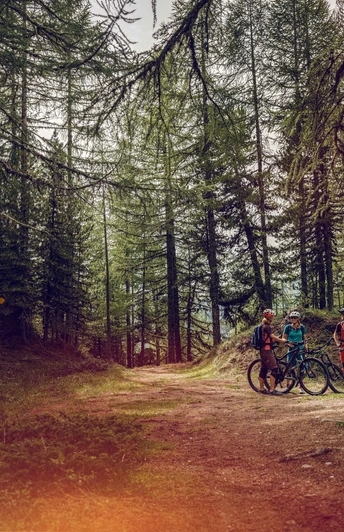 Mountainbiker im Wald von Sädol Richtung Col du Gibidum
