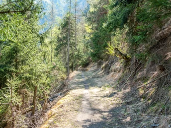 Wanderweg Richtung Tunetschgraben