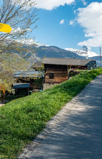 Abzweigung in Termen