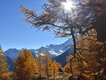 Simplon im Herbst