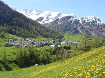 Blick auf Simplon Dorf
