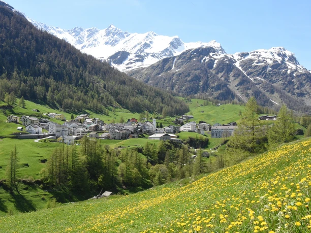Blick auf Simplon Dorf
