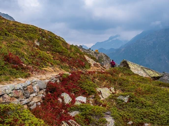Wanderung zum Staldhorn