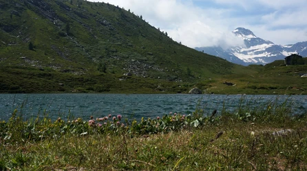 Hopschusee