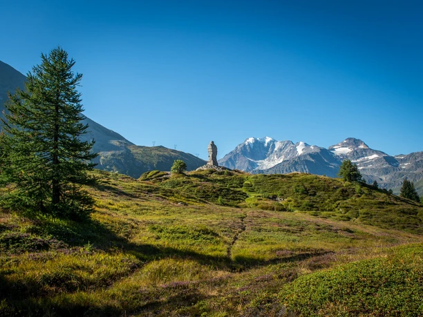 Simplon Adler