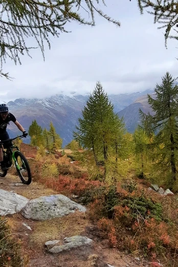 Indian Summer mit gelben Lärchen auf dem Moosmattentrail