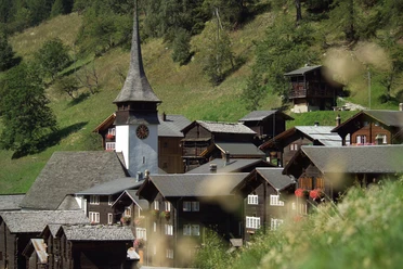 Niederwald