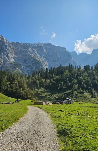 Blick zur Wettersteinalm