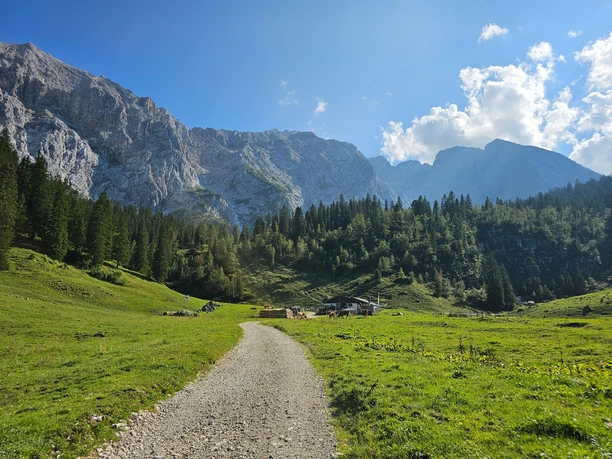 Blick zur Wettersteinalm Schotterweg führt über grüne Almwiese zu einer Hütte vor steilen Felswänden im Sonnenschein
