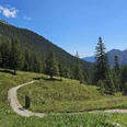 Trail zur Enningalm Gewundener Bergpfad durch grünes Almgelände mit dichten Nadelwäldern und Bergen im Hintergrund