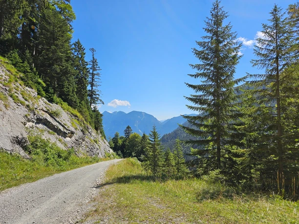 Breiter Forstweg bergauf Breiter Schotterweg führt bergauf zwischen Felsen und Nadelbäumen mit Blick auf entfernte Berge