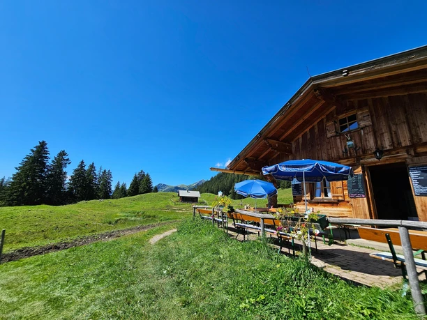 Enningalm Holzhütte mit Sitzplätzen und blauen Schirmen an einer grünen Alm vor Wald und Bergen