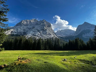 Sonnige Wiese vor dunklem Wald mit steilen Felsbergen unter blauem Himmel und Wolken