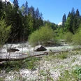 Loisach Richtung Griesen Klarer Gebirgsfluss mit Felsen und dichtem Wald unter blauem Himmel in alpiner Landschaft