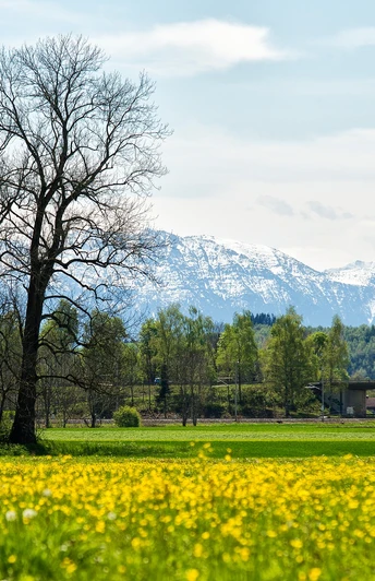 Blick in die Berge aus der Weilheimer Ammer Au