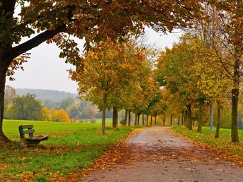 Herbst auf dem Weg zum Gut Dietlhofen in Weilheim