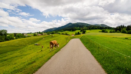 Gravelbiken mit Zugspitzblick Blick auf den Hörnle bei Bad Kohlgrub