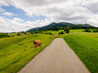 Gravelbiken mit Zugspitzblick Blick auf den Hörnle bei Bad Kohlgrub