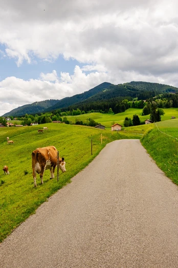 Gravelbiken mit Zugspitzblick Blick auf den Hörnle bei Bad Kohlgrub