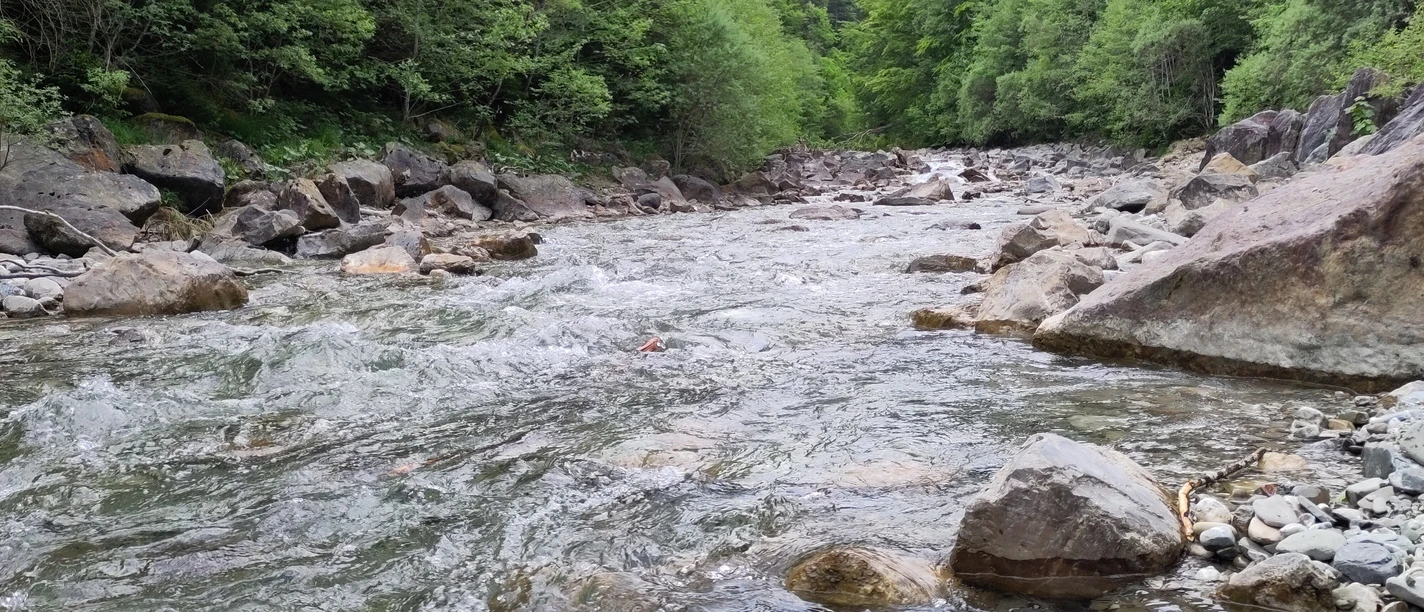 Halbammer bei Unternogg