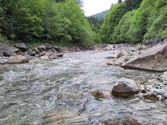 Halbammer bei Unternogg