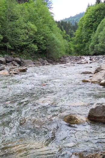 Halbammer bei Unternogg