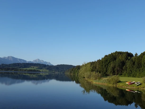 Premer Lechsee